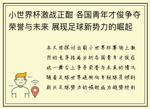 小世界杯激战正酣 各国青年才俊争夺荣誉与未来 展现足球新势力的崛起